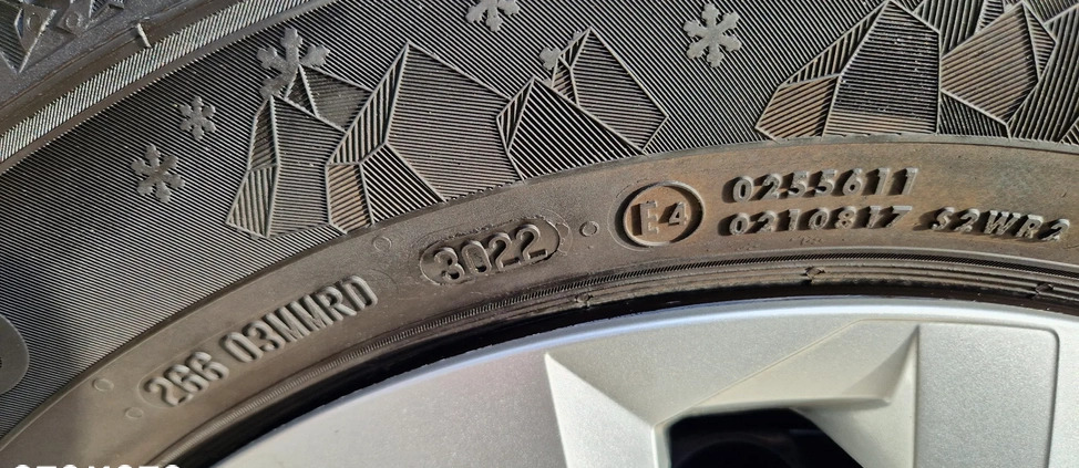Volkswagen Polo cena 41000 przebieg: 4000, rok produkcji 2024 z Koszalin małe 781